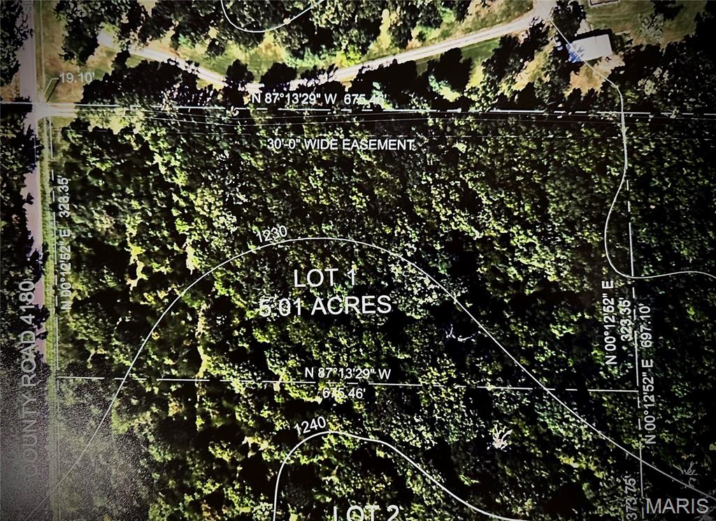 Photo 4 - Land for sale – 000  Co Rd 4180 Lot 1   Salem, MO