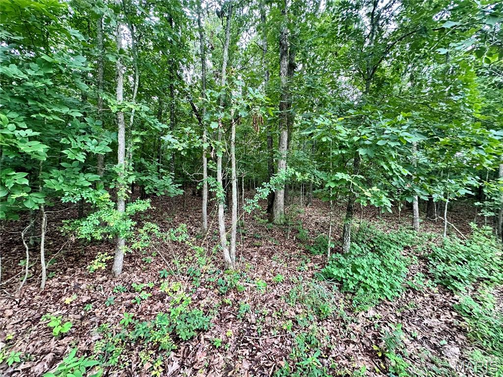 Photo 3 - Land for sale – 000  Co Rd 4180 Lot 1   Salem, MO