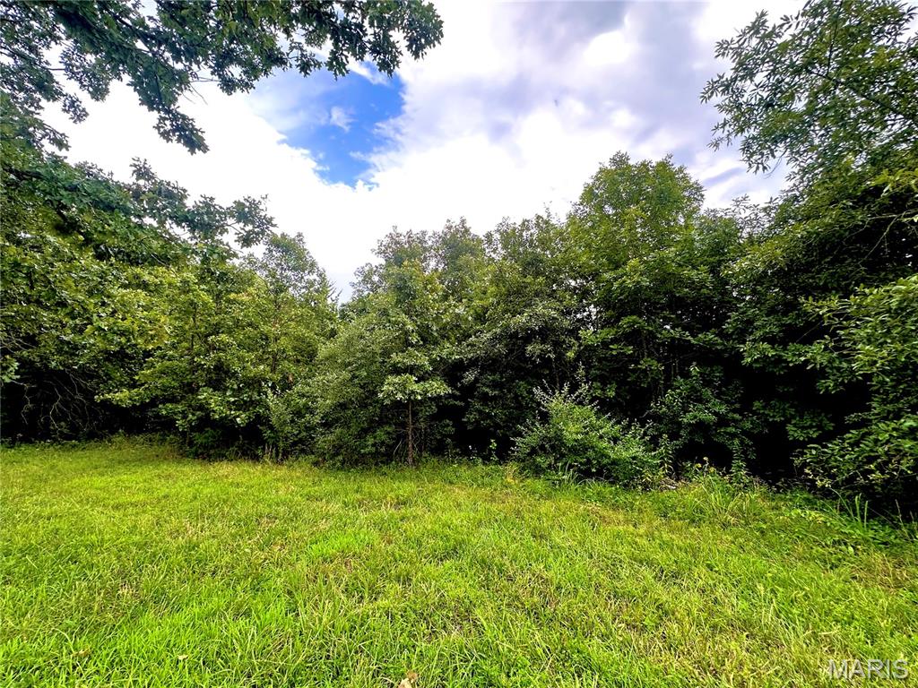 Photo 2 - Land for sale – 000  Co Rd 4180 Lot 1   Salem, MO