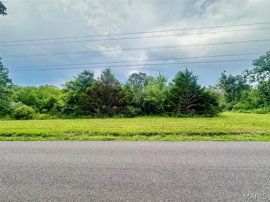 Farm/Ranch/Land for sale – 000  Co Rd 4180 Lot 2   Salem, MO