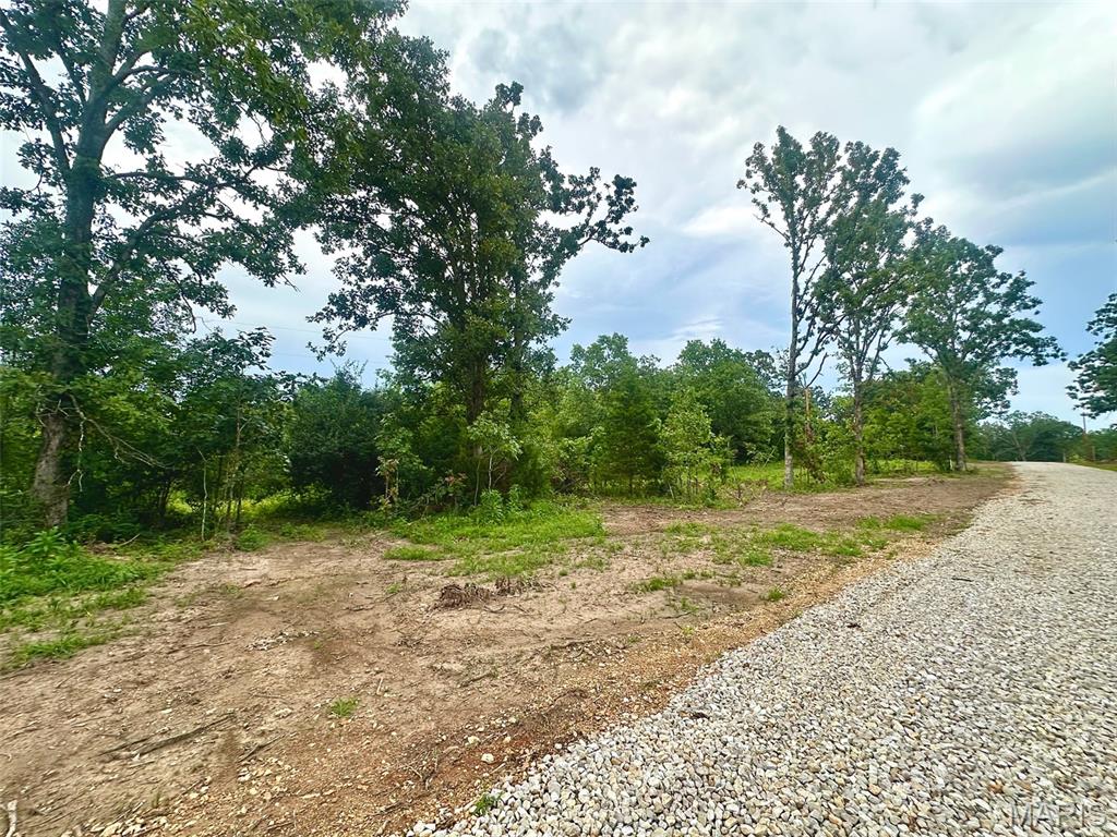 Farm/Ranch/Land for sale – 000  Co Rd 4180 Lot 2   Salem, MO