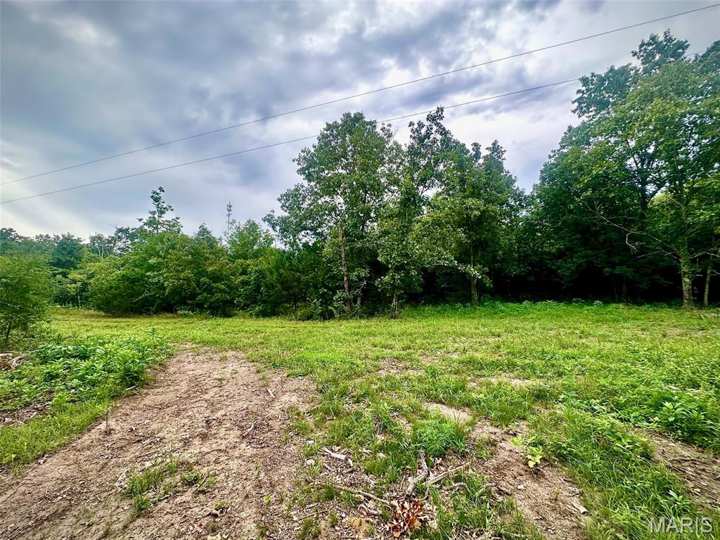 Farm/Ranch/Land for sale – 000  Co Rd 4180 Lot 2   Salem, MO