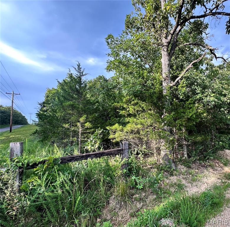 Photo 3 - Land for sale – 000  Co Rd 4180 Lot 4   Salem, MO