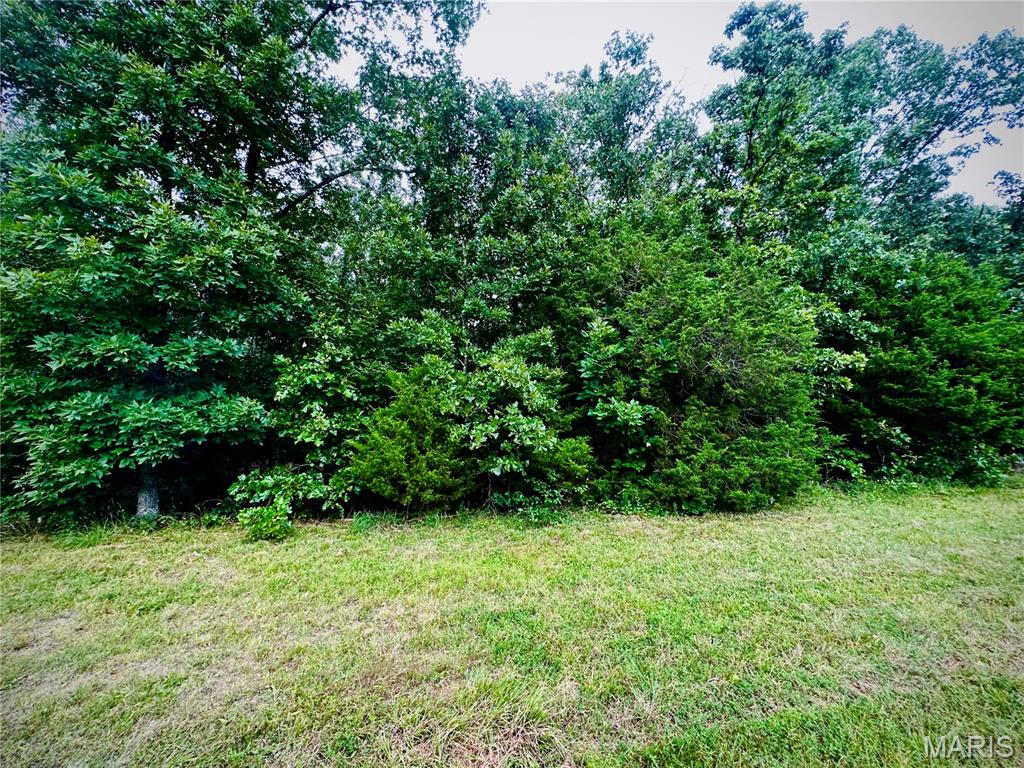 Land for sale – 000  Co Rd 4180 Lot 7   Salem, MO