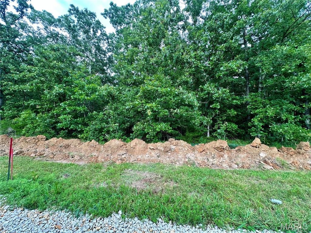 Photo 2 - Land for sale – 000  Co Rd 4180 Lot 8   Salem, MO