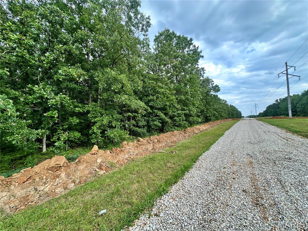 Land for sale – 000  Co Rd 4180 Lot 8   Salem, MO