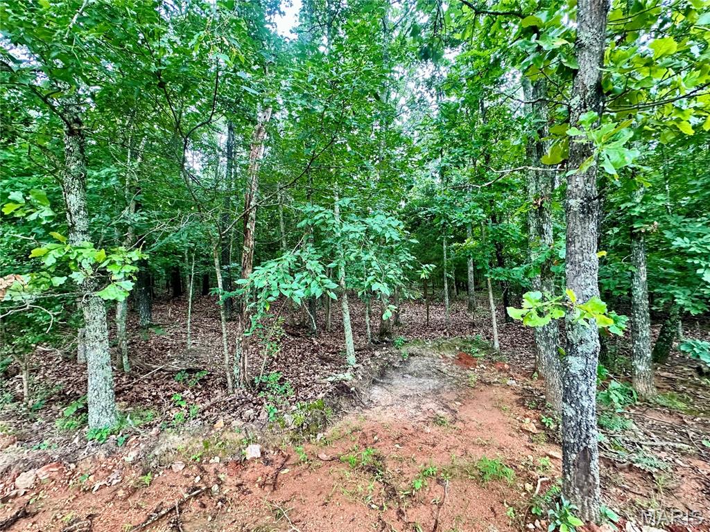 Photo 2 - Land for sale – 000  Co Rd 4180 Lot 10   Salem, MO