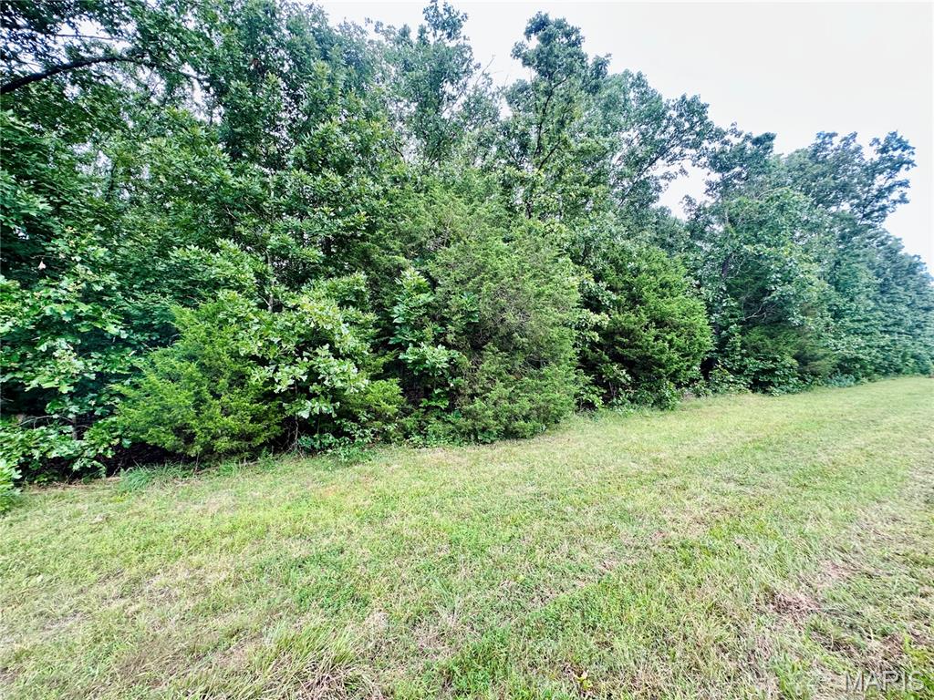 Photo 3 - Land for sale – 000  Co Rd 4180 Lot 10   Salem, MO