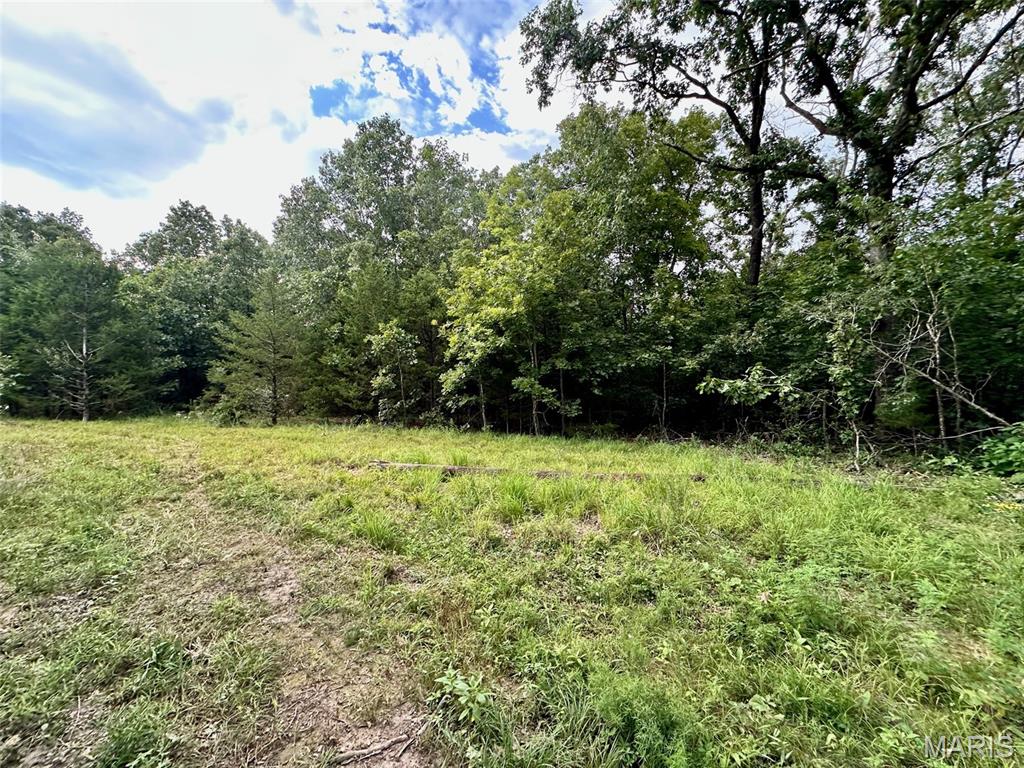 Farm/Ranch/Land for sale – 000  Co Rd 4180 Lot 11   Salem, MO