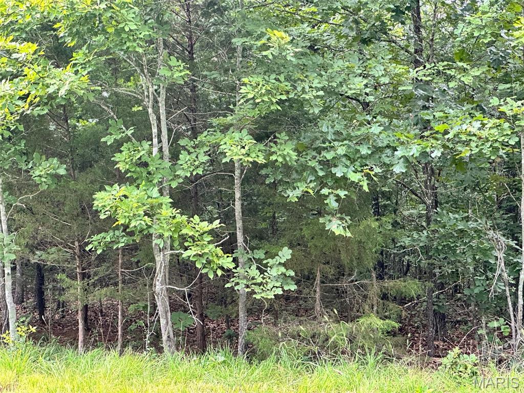 Farm/Ranch/Land for sale – 000  Co Rd 4180 Lot 11   Salem, MO