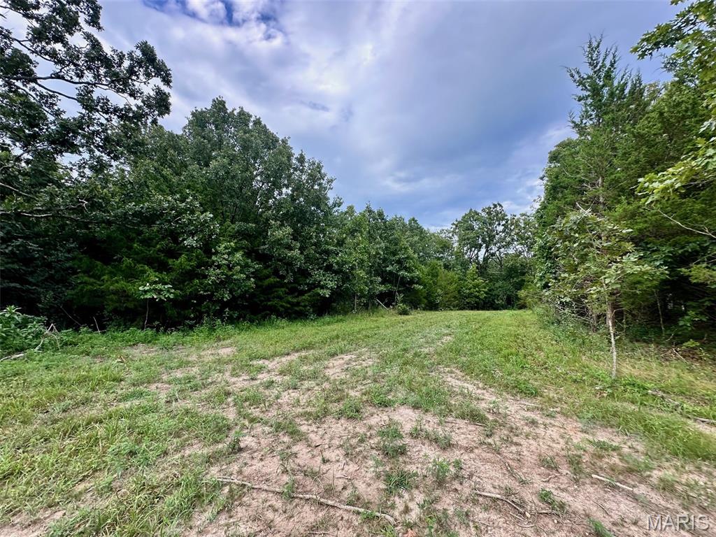 Farm/Ranch/Land for sale – 000  Co Rd 4180 Lot 11   Salem, MO
