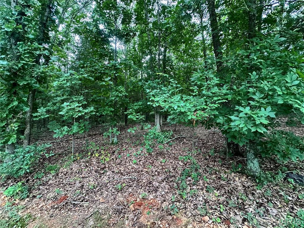 Farm/Ranch/Land for sale – 000  Co Rd 4180 Lot 11   Salem, MO