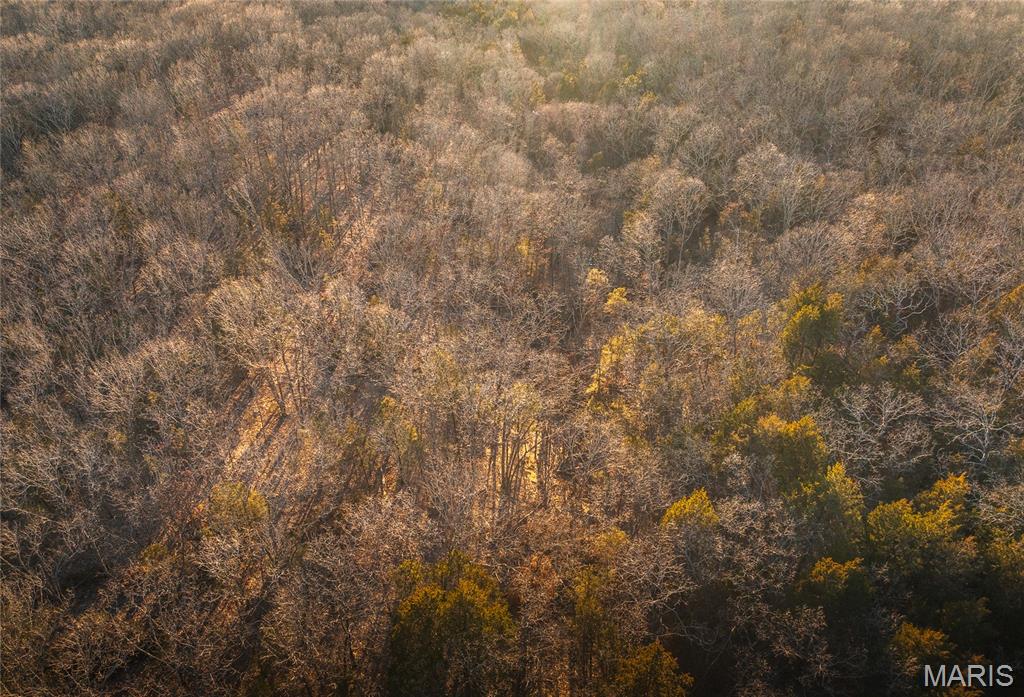 Photo 6 - Land for sale – 0  Highway 63   Vichy, MO