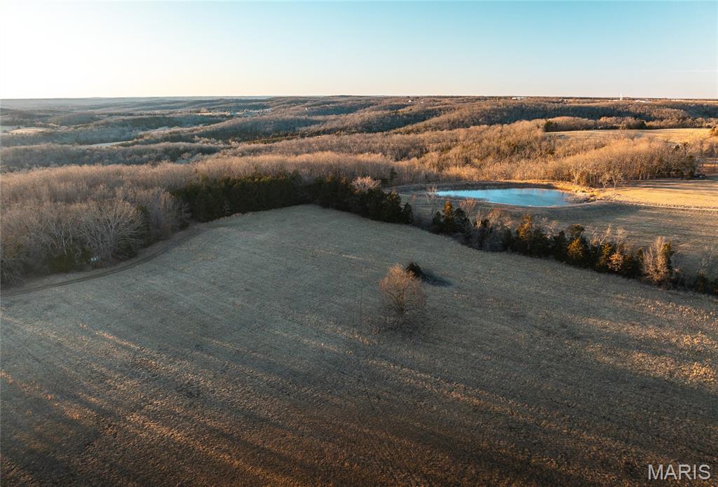 Photo 2 - Land for sale – 0  Highway 63   Vichy, MO