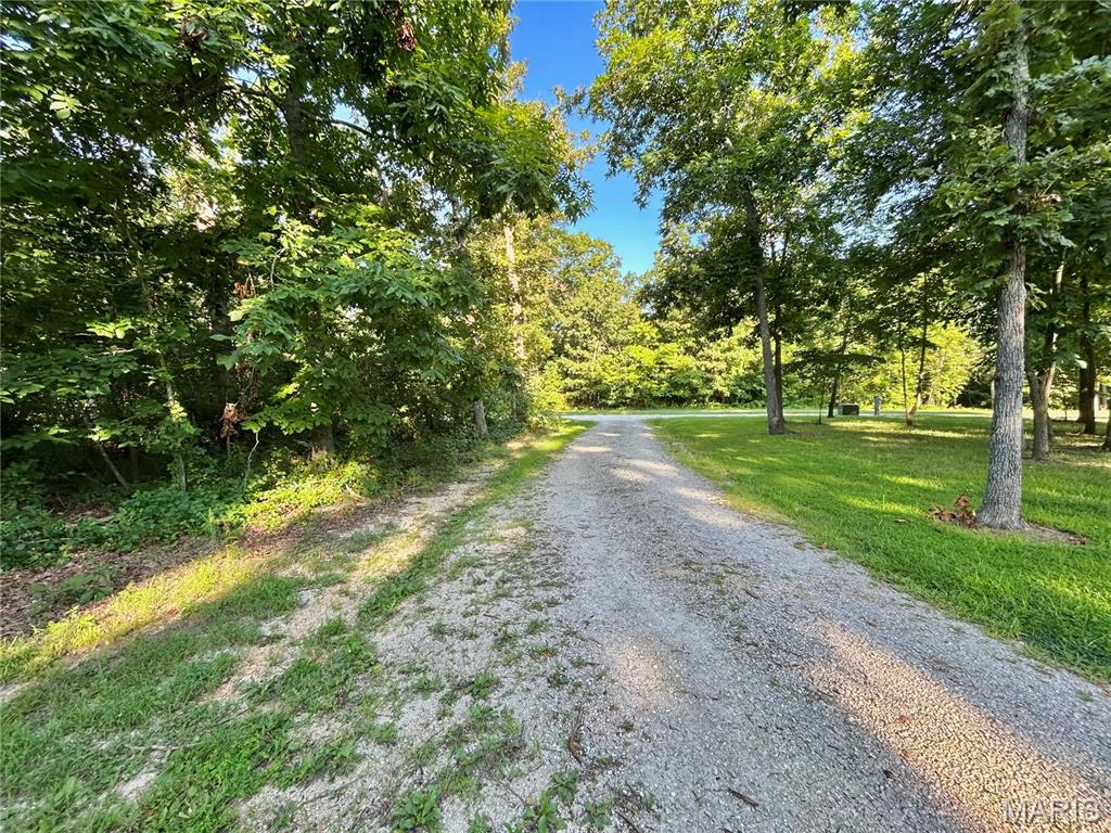 Photo 5 - Land for sale – 0  Tract 3 Private Lane 301 Off Highway 72   Salem, MO
