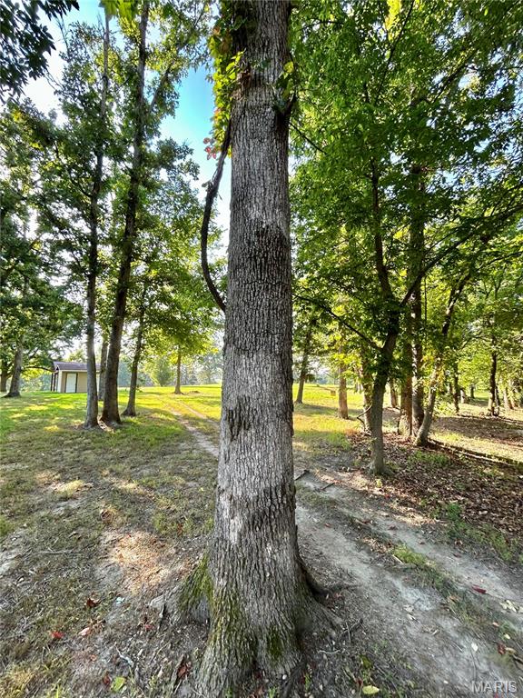 Photo 21 - Land for sale – 0  Tract 3 Private Lane 301 Off Highway 72   Salem, MO
