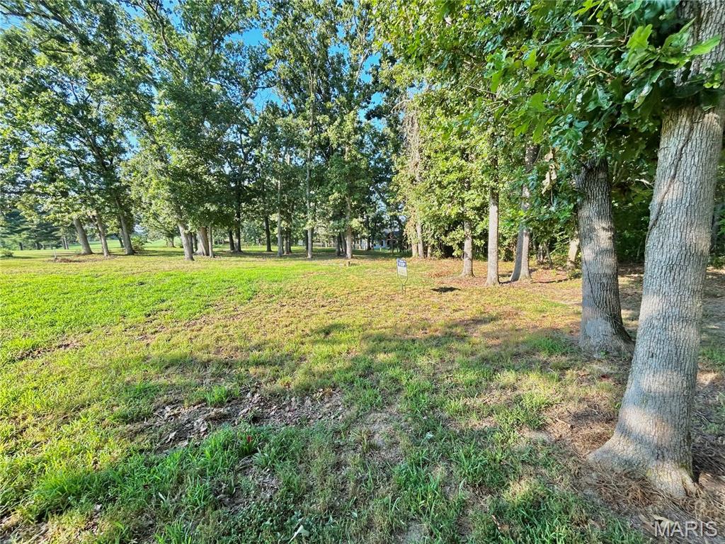 Photo 23 - Land for sale – 0  Tract 3 Private Lane 301 Off Highway 72   Salem, MO