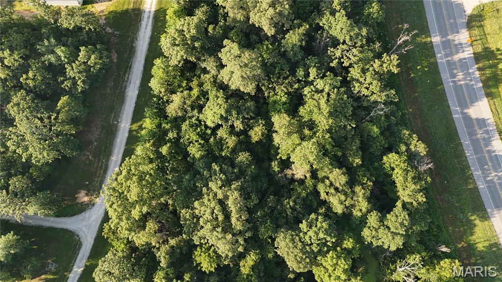 Photo 9 - Land for sale – 0  Tract 3 Private Lane 301 Off Highway 72   Salem, MO