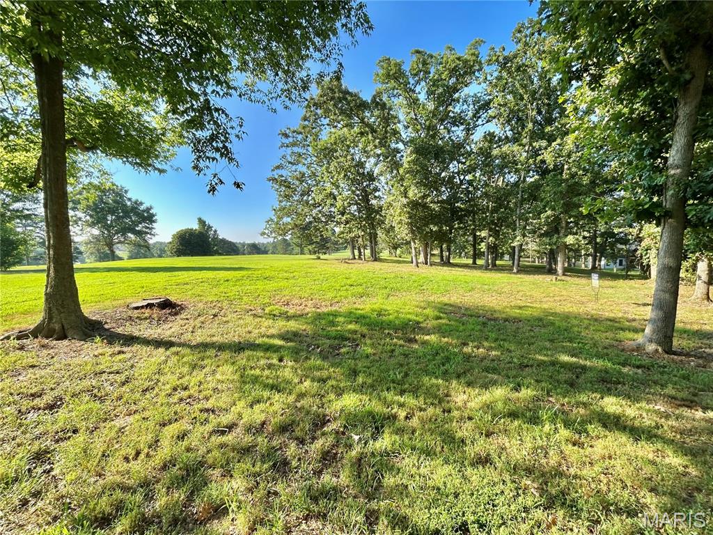 Photo 22 - Land for sale – 0  Tract 3 Private Lane 301 Off Highway 72   Salem, MO