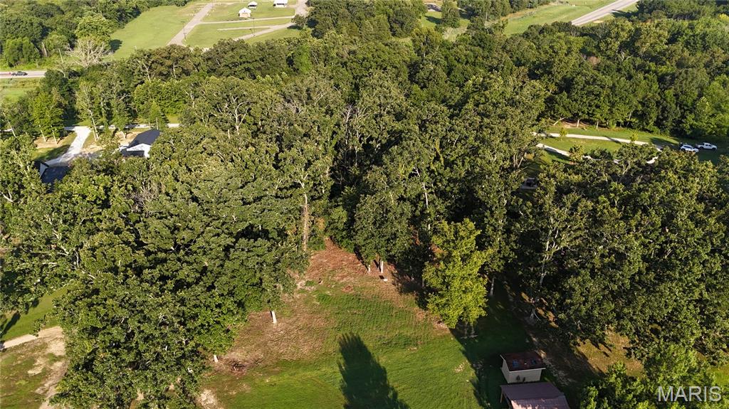 Photo 7 - Land for sale – 0  Tract 3 Private Lane 301 Off Highway 72   Salem, MO