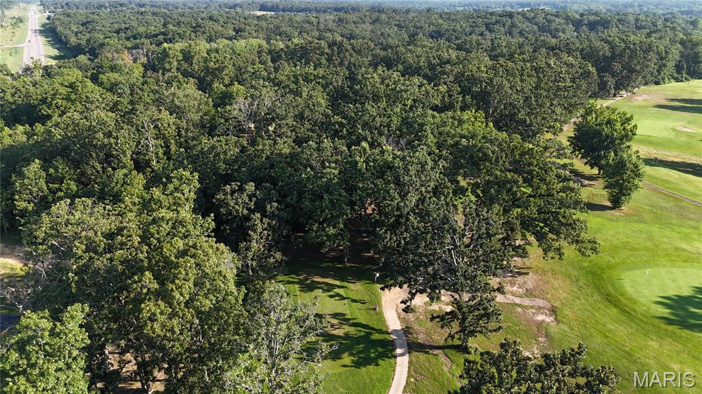 Photo 14 - Land for sale – 0  Tract 3 Private Lane 301 Off Highway 72   Salem, MO