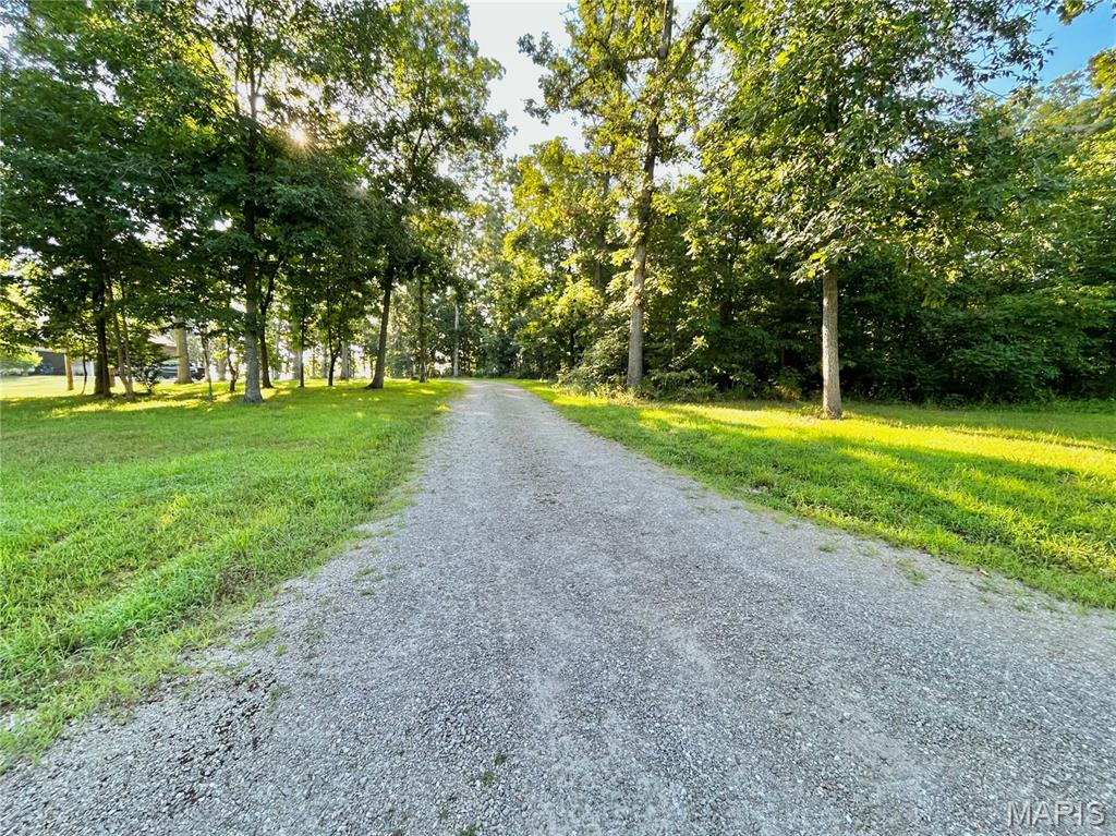 Photo 2 - Land for sale – 0  Tract 3 Private Lane 301 Off Highway 72   Salem, MO