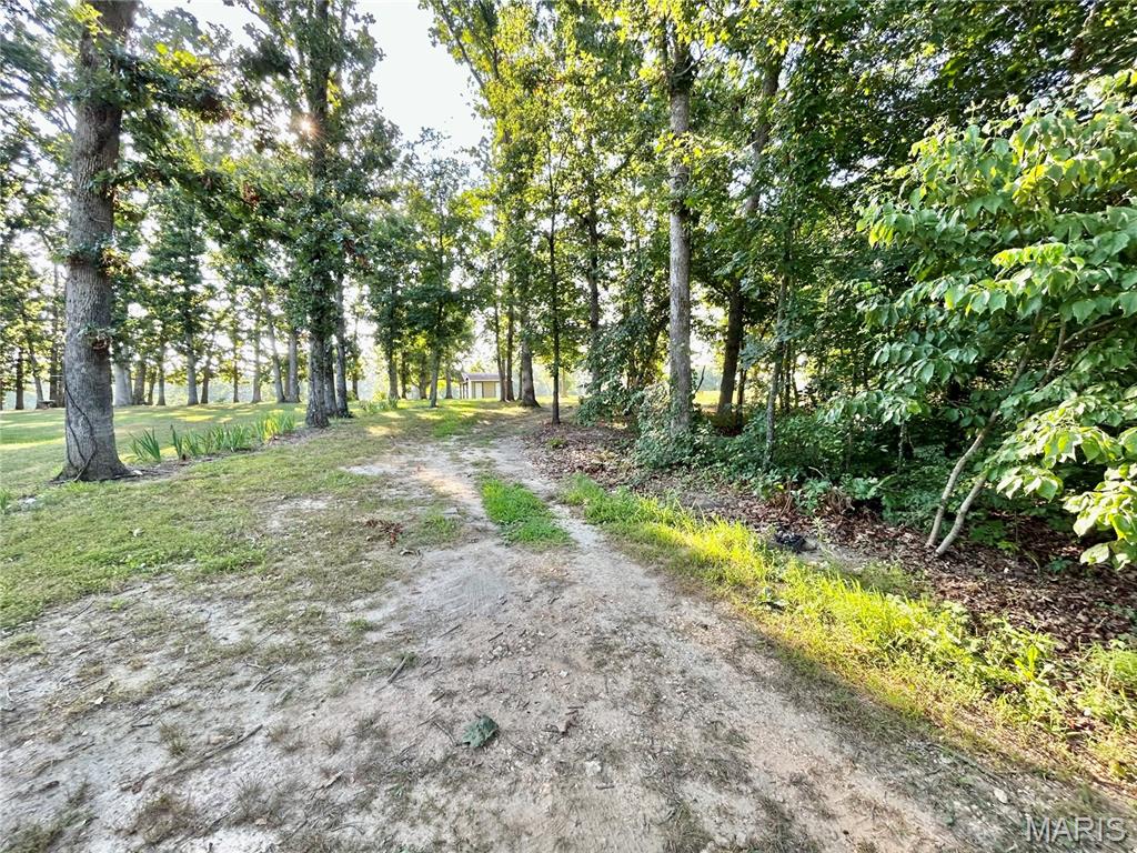 Photo 20 - Land for sale – 0  Tract 3 Private Lane 301 Off Highway 72   Salem, MO