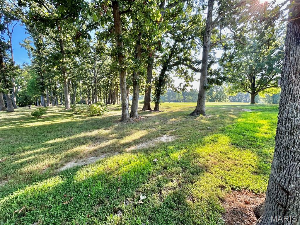 Photo 24 - Land for sale – 0  Tract 3 Private Lane 301 Off Highway 72   Salem, MO