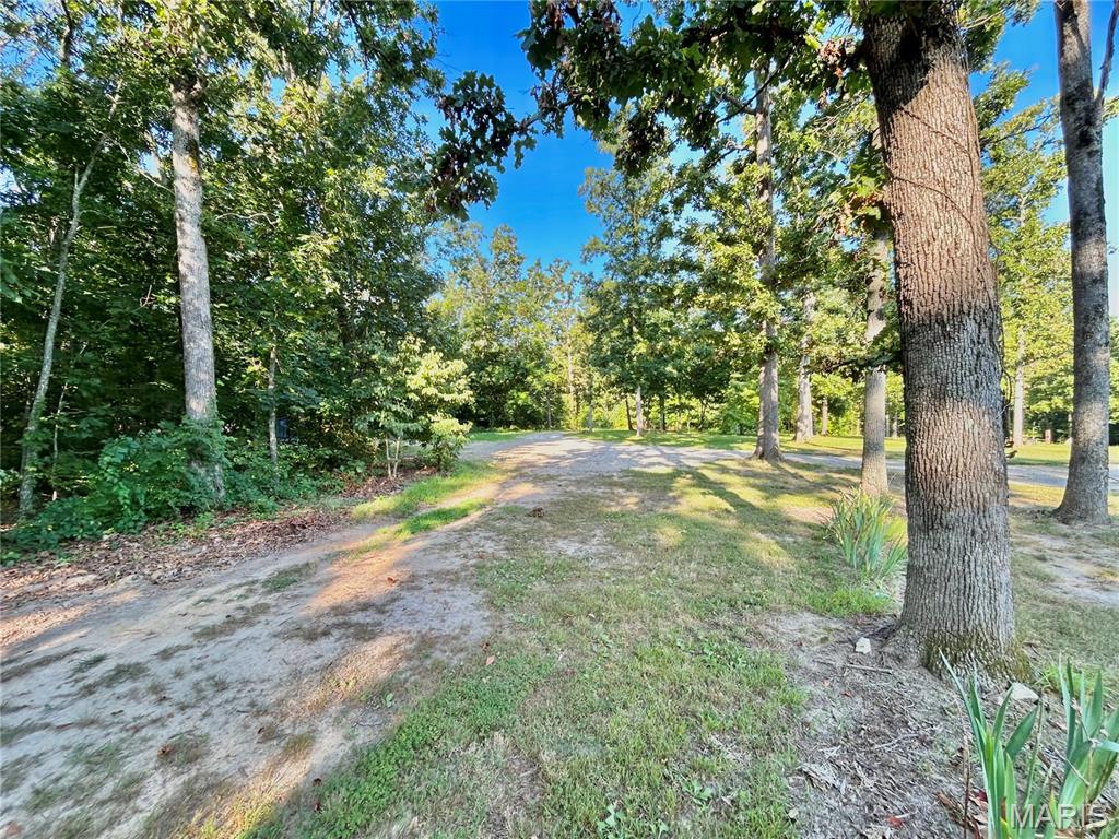 Photo 25 - Land for sale – 0  Tract 3 Private Lane 301 Off Highway 72   Salem, MO