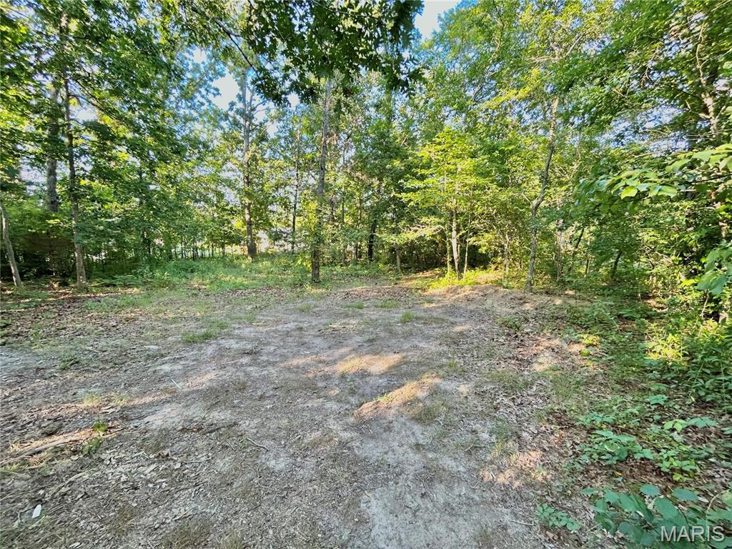 Photo 17 - Land for sale – 0  Tract 3 Private Lane 301 Off Highway 72   Salem, MO