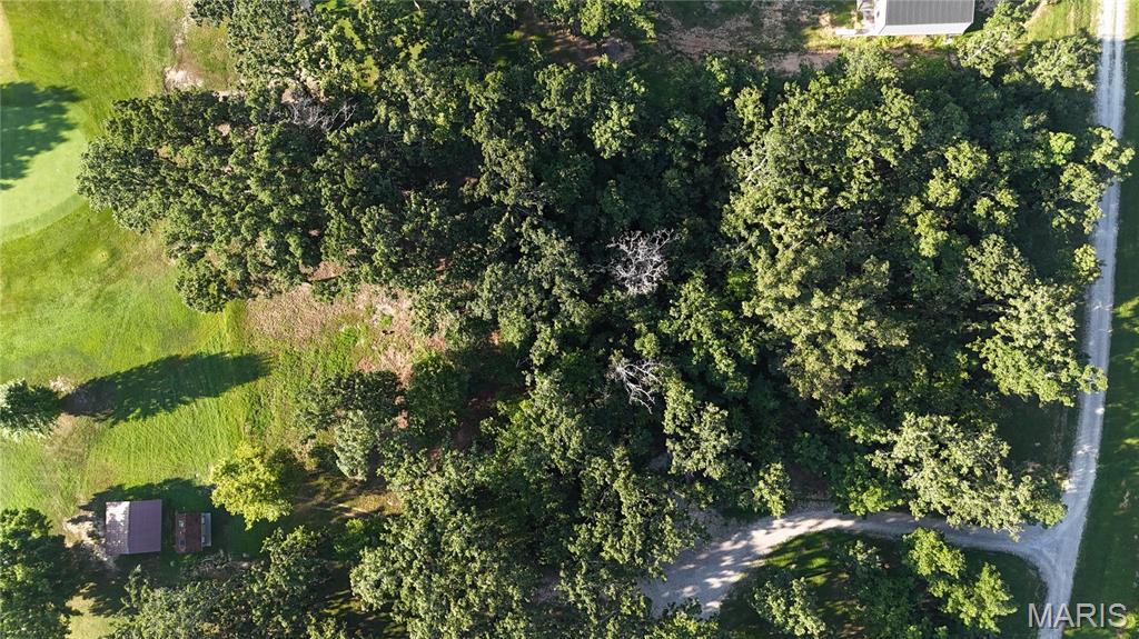 Photo 8 - Land for sale – 0  Tract 3 Private Lane 301 Off Highway 72   Salem, MO