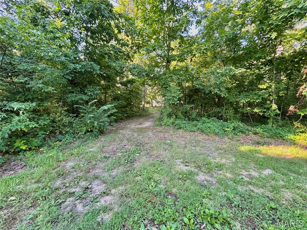 Photo 16 - Land for sale – 0  Tract 3 Private Lane 301 Off Highway 72   Salem, MO