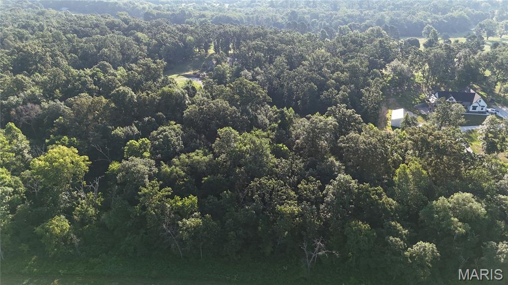 Photo 10 - Land for sale – 0  Tract 3 Private Lane 301 Off Highway 72   Salem, MO