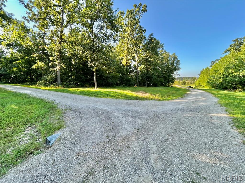 Photo 4 - Land for sale – 0  Tract 3 Private Lane 301 Off Highway 72   Salem, MO