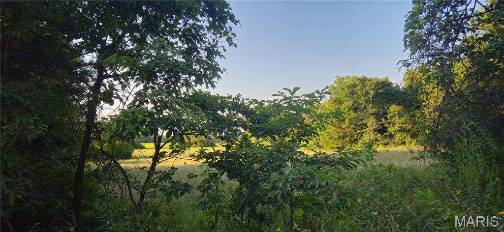 Photo 8 - Farm for sale – 77  County Road 6020   Salem, MO