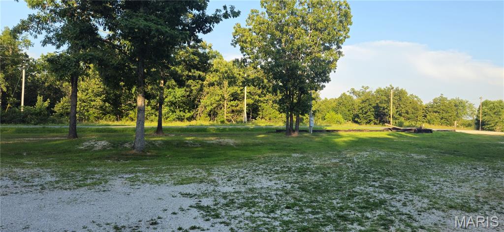 Photo 7 - Farm for sale – 77  County Road 6020   Salem, MO