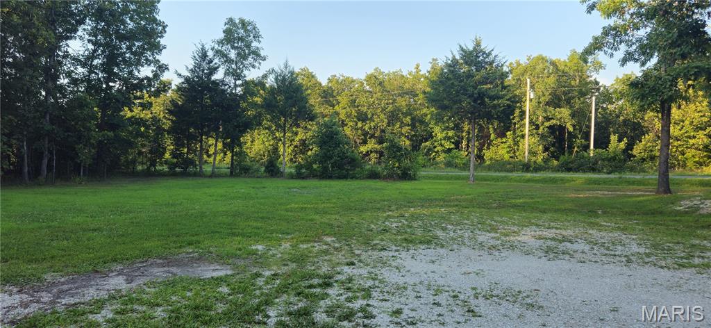 Photo 5 - Farm for sale – 77  County Road 6020   Salem, MO