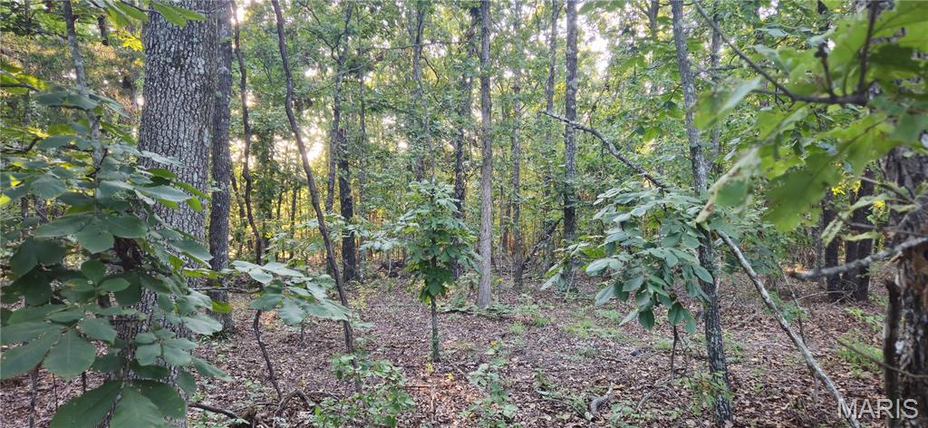 Photo 12 - Farm for sale – 77  County Road 6020   Salem, MO