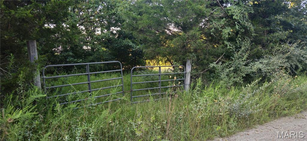 Photo 6 - Farm for sale – 77  County Road 6020   Salem, MO