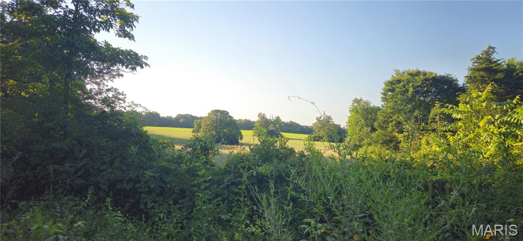 Photo 10 - Farm for sale – 77  County Road 6020   Salem, MO