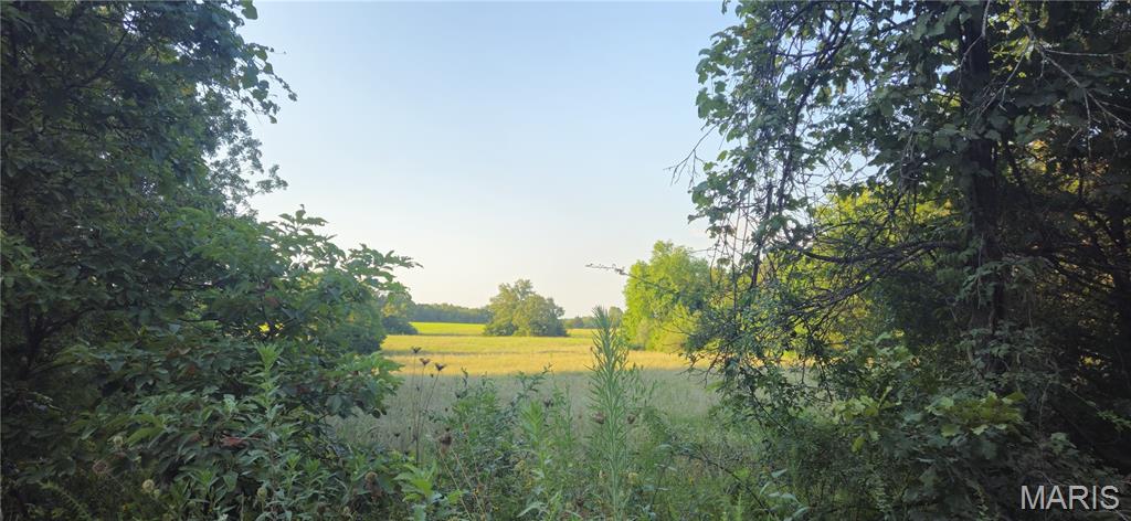 Photo 9 - Farm for sale – 77  County Road 6020   Salem, MO