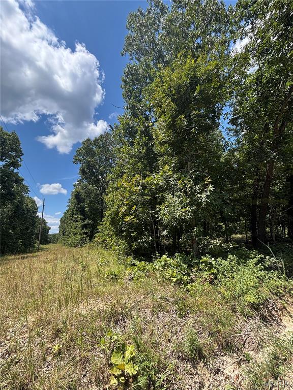 Photo 4 - Farm for sale – 0  County Road 4110   Rolla, MO