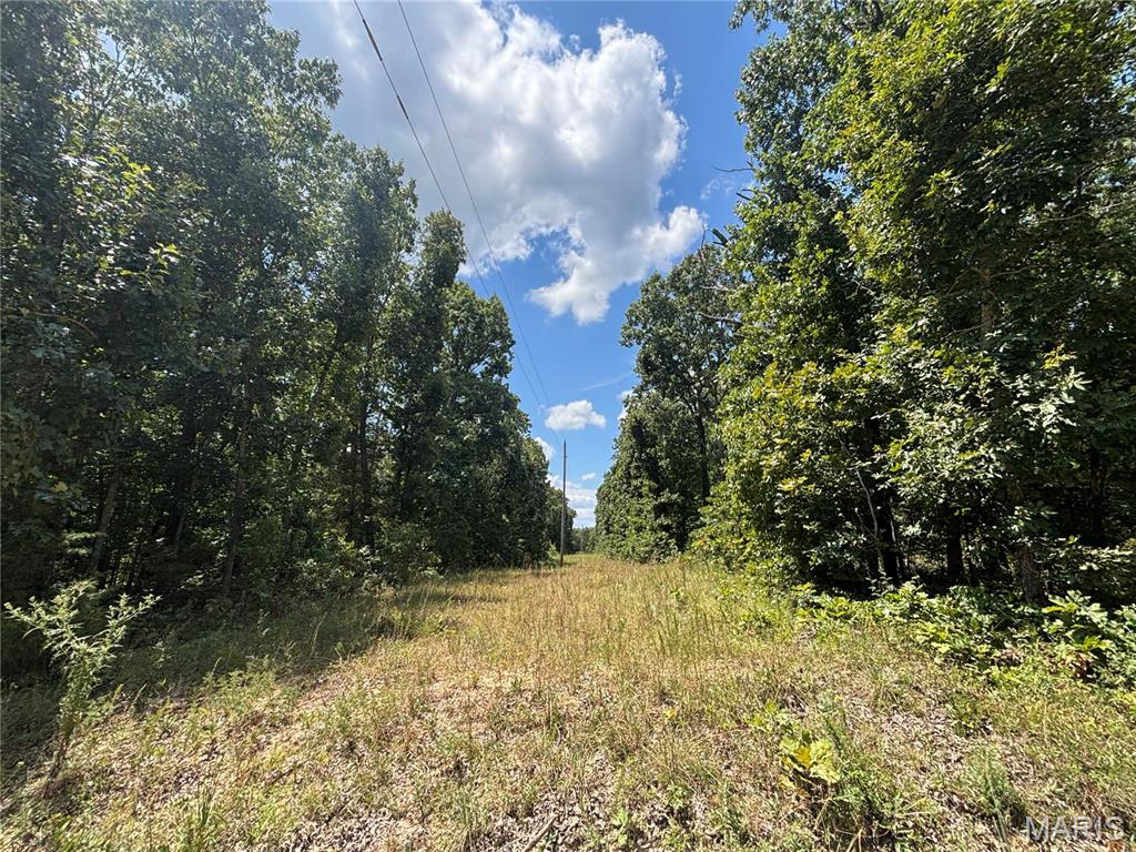 Photo 5 - Farm for sale – 0  County Road 4110   Rolla, MO