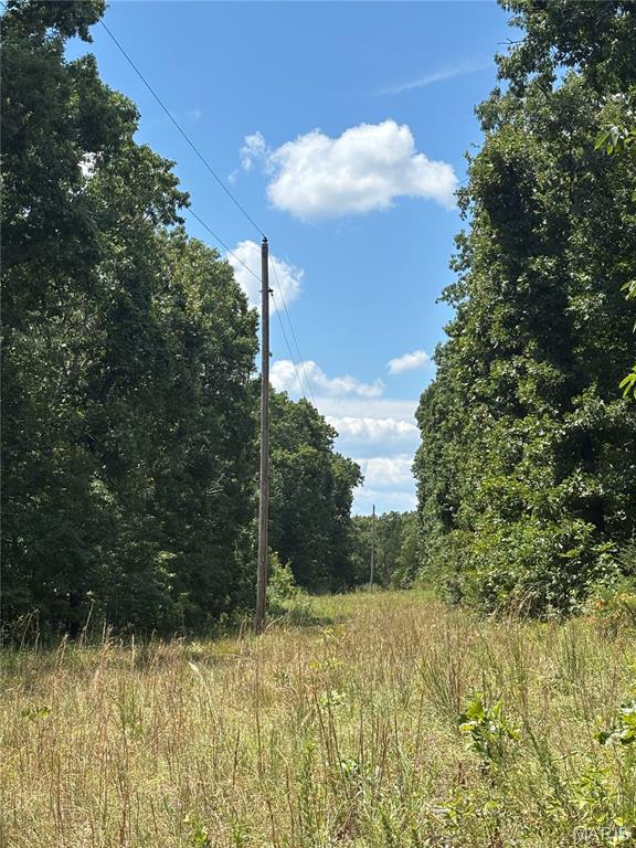 Photo 3 - Farm for sale – 0  County Road 4110   Rolla, MO