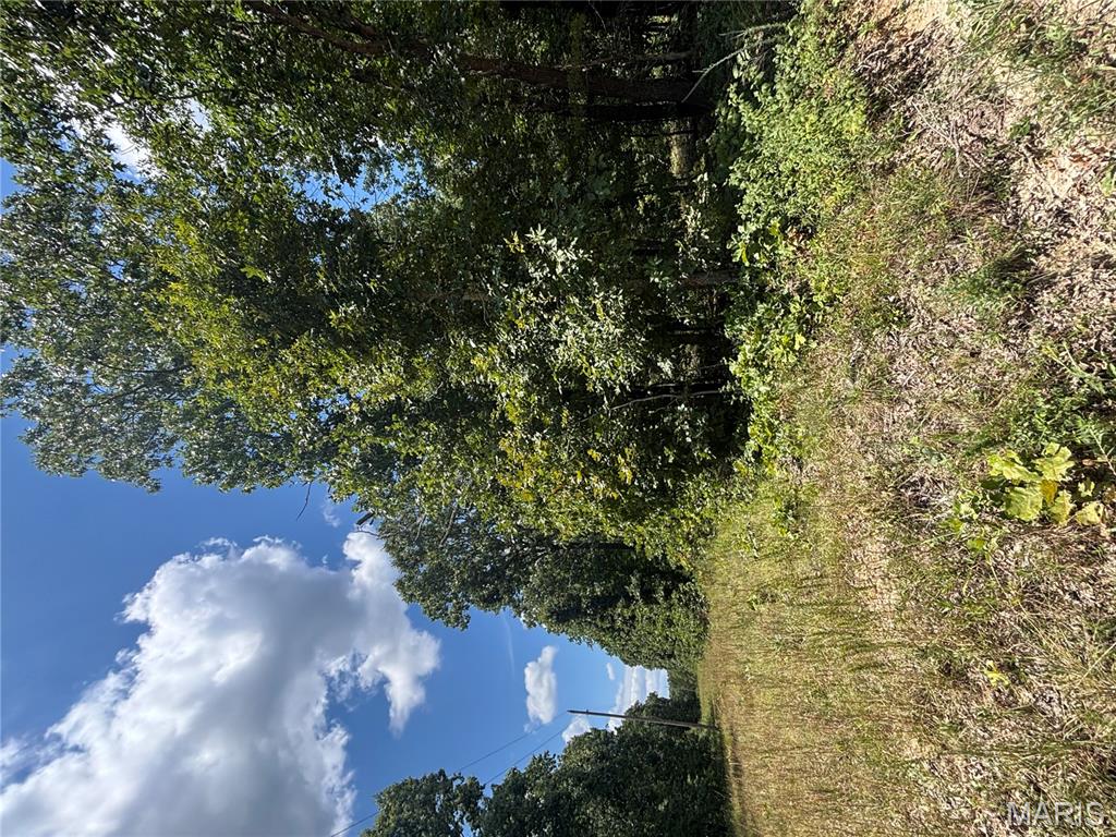 Photo 2 - Farm for sale – 0  County Road 4110   Rolla, MO
