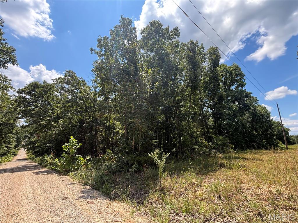 Photo 6 - Farm for sale – 0  County Road 4110   Rolla, MO