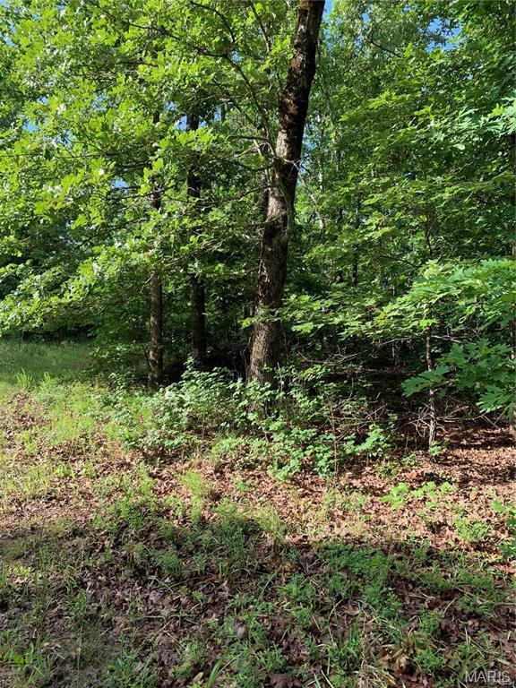 Farm/Ranch/Land for sale – 0 Highway 160W-13 Doniphan, MO
