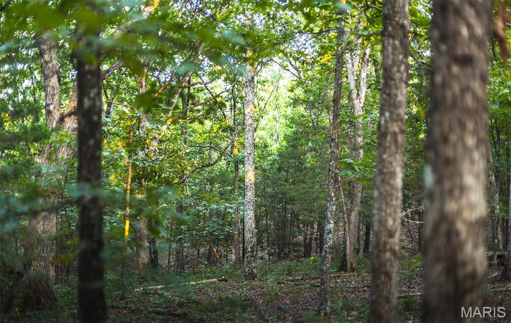 Photo 48 - Land for sale – 00  Mo-V   St James, MO