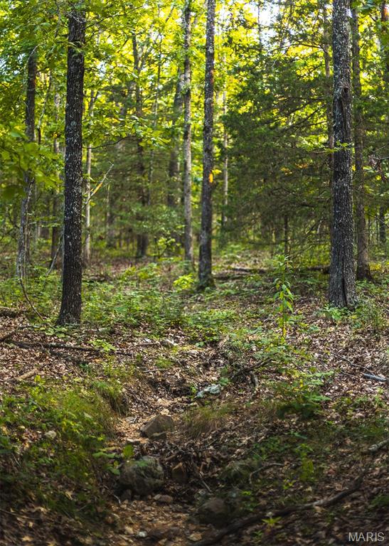Photo 50 - Land for sale – 00  Mo-V   St James, MO