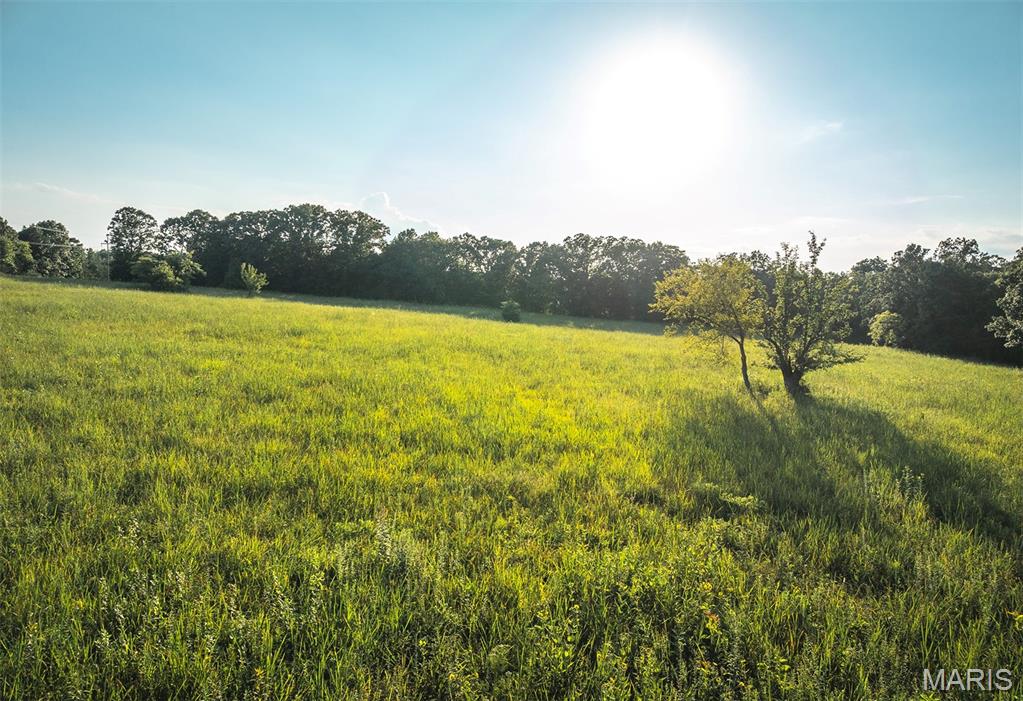 Photo 16 - Land for sale – 00  Mo-V   St James, MO